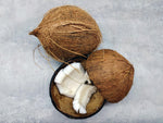 Discover Fascinating Facts About Wholesale Coconut Flakes